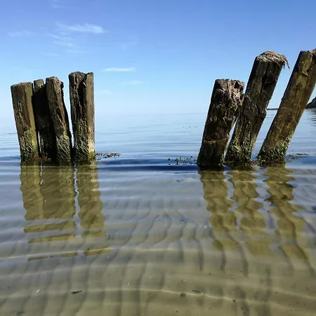 16 Person In Sydals * Sarup